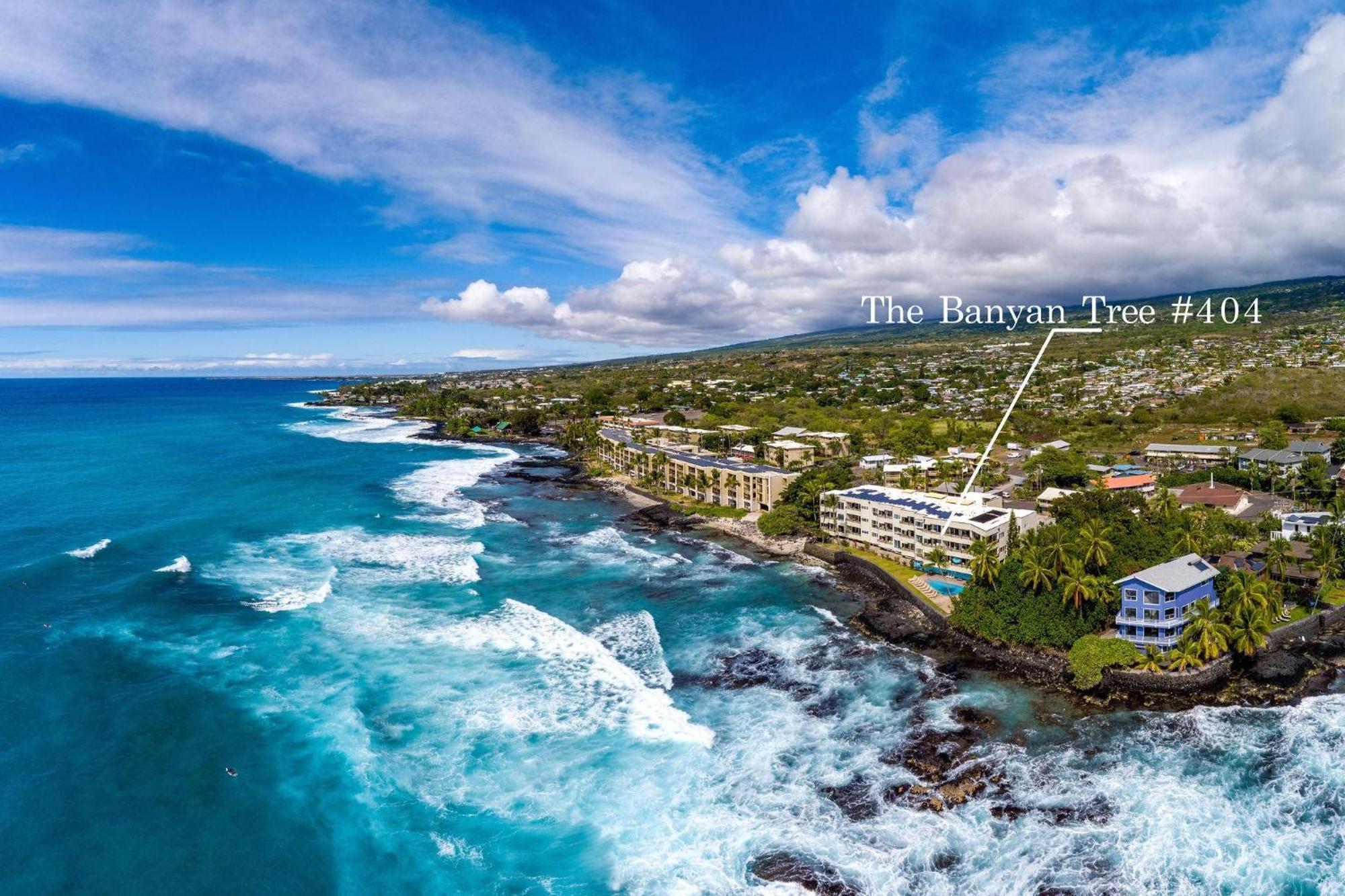 Banyan Tree 404D Villa Kailua-Kona Eksteriør billede